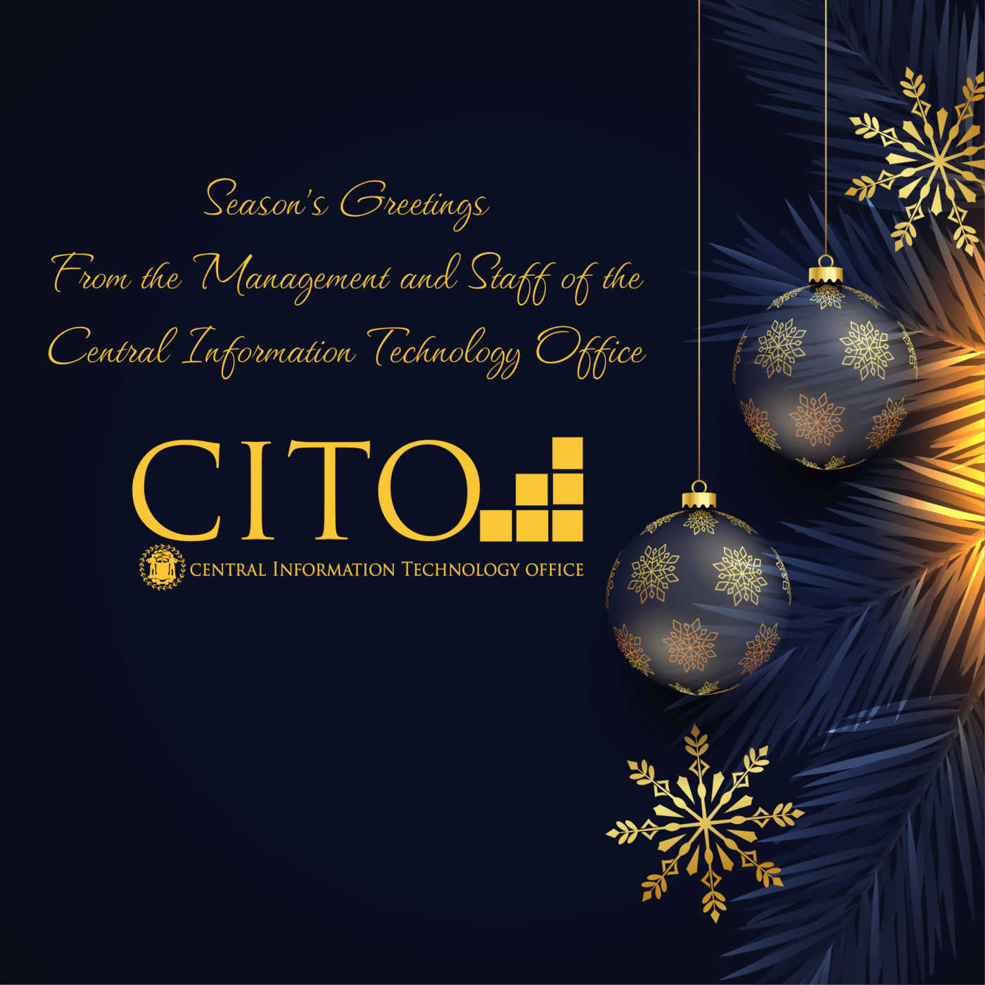 Portfolio – Central Information Technology Office